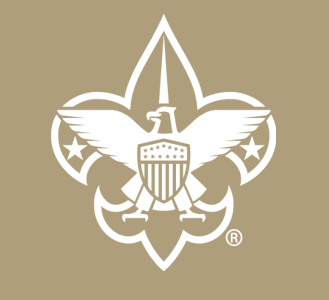 Various trainings for Scouts icon